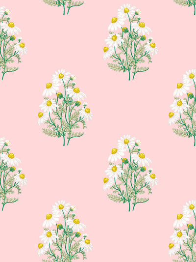 'Fleur De Camomille' Wallpaper by Sarah Jessica Parker - Slipper