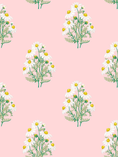 'Fleur De Camomille' Wallpaper by Sarah Jessica Parker - Slipper