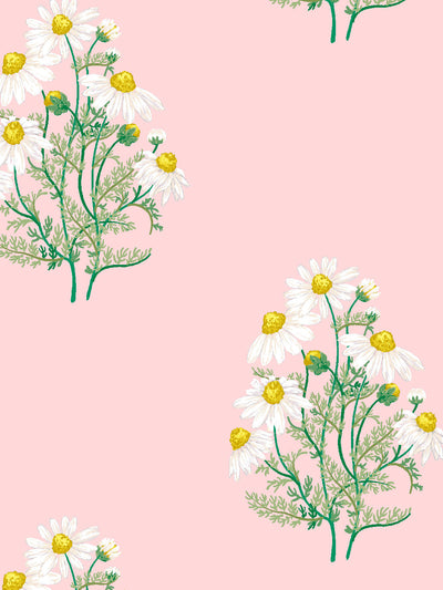 fleur de camomille wallpaper by sarah jessica parker slipper
