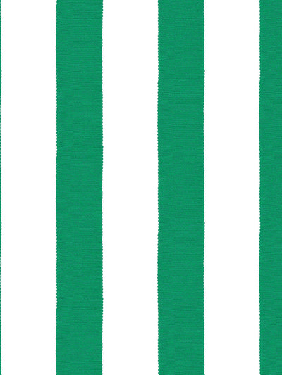 grosgrain stripe on white wallpaper by sarah jessica parker emerald