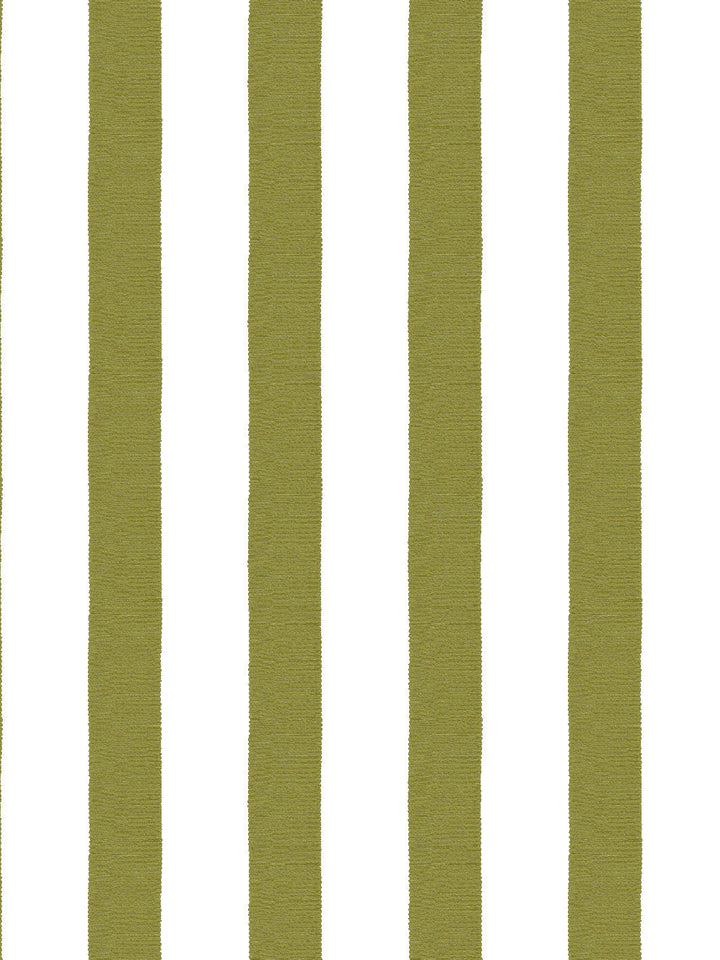 grosgrain-stripe-on-white-wallpaper-by-sarah-jessica-parker-olive