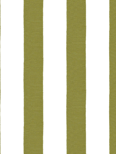 'Grosgrain Stripe on White' Wallpaper by Sarah Jessica Parker - Olive