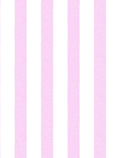 grosgrain stripe on white wallpaper by sarah jessica parker pink