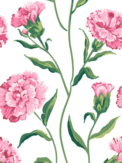 townhouse wallpaper by sarah jessica parker blush