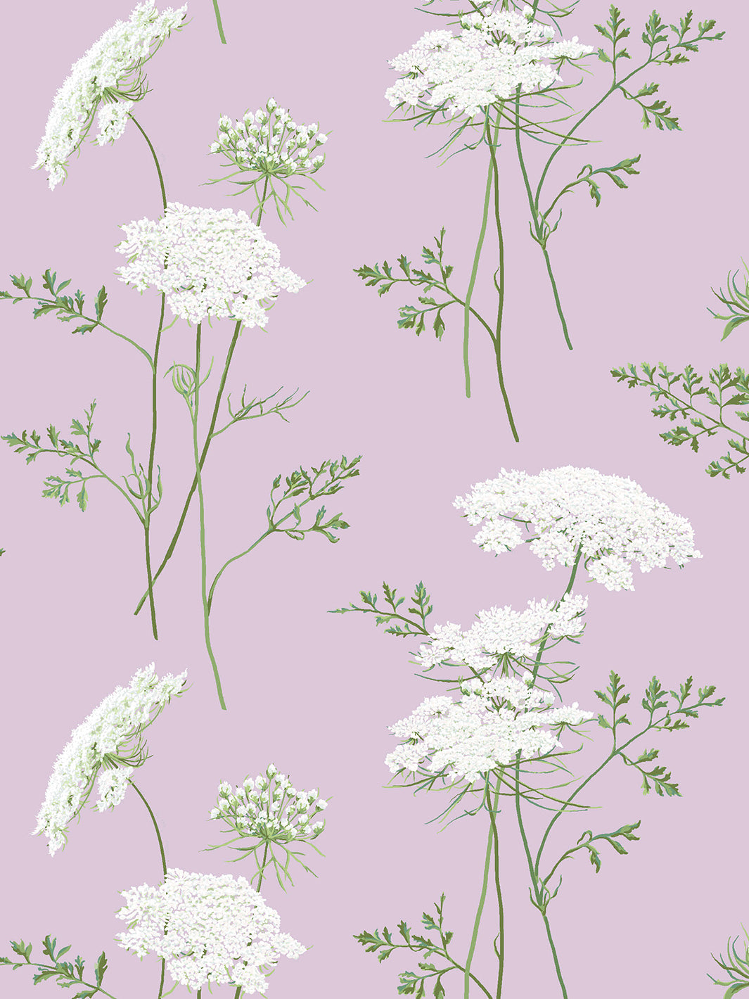 the-queens-lace-wallpaper-by-sarah-jessica-parker-lavender