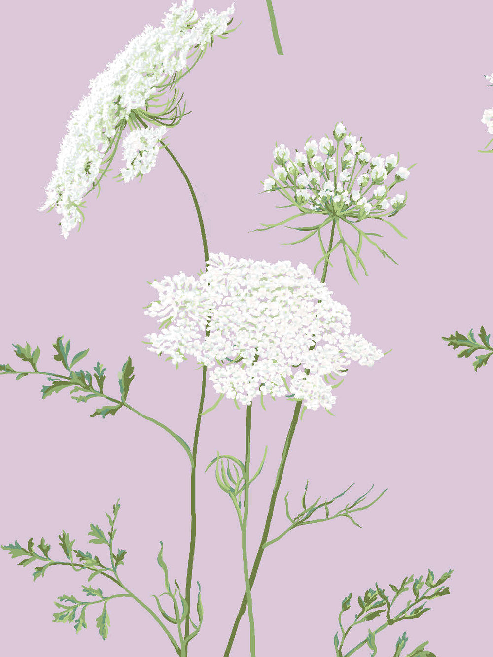 the-queens-lace-wallpaper-by-sarah-jessica-parker-lavender