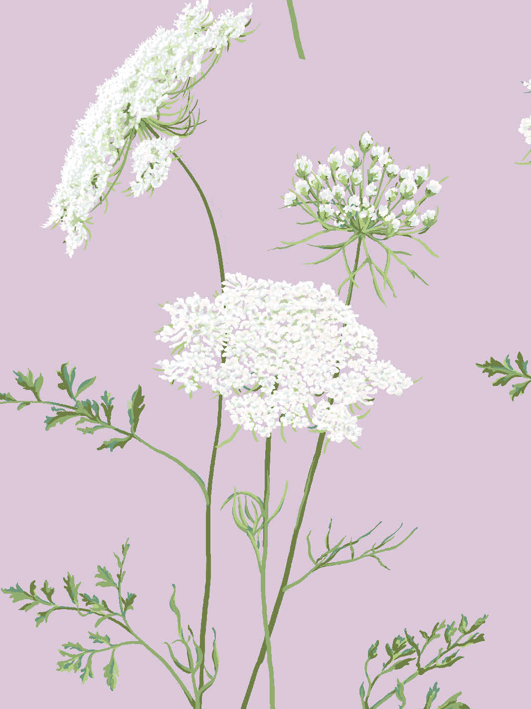 the-queens-lace-wallpaper-by-sarah-jessica-parker-lavender