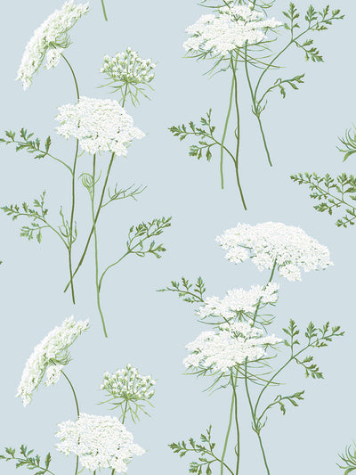 'The Queen's Lace' Wallpaper by Sarah Jessica Parker - Misty Blue