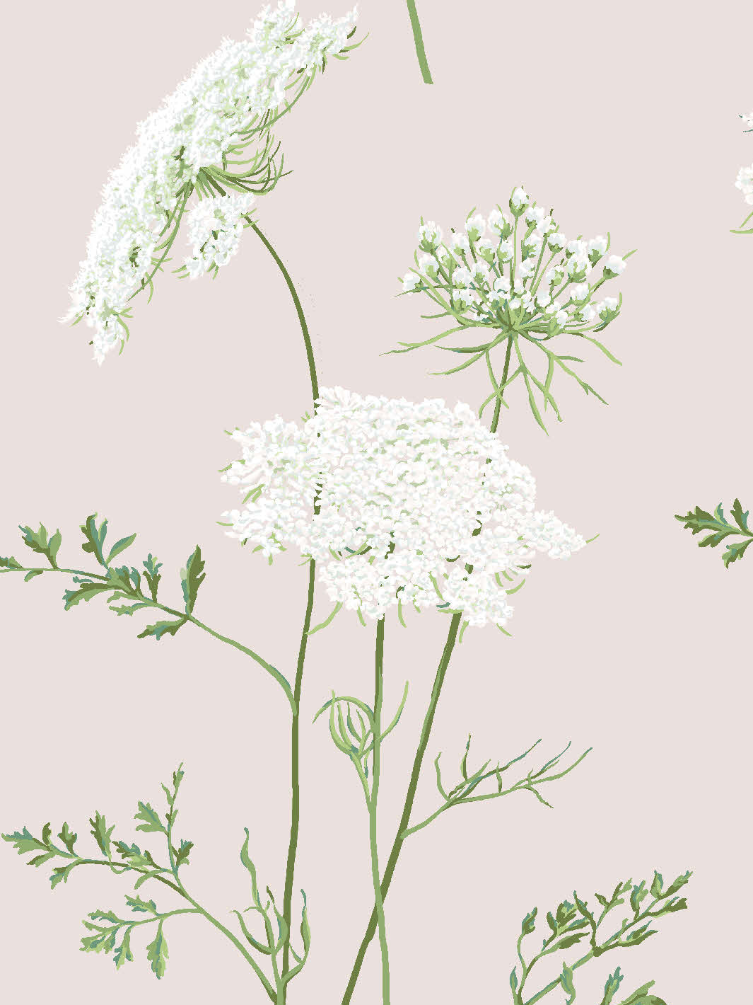 the-queens-lace-wallpaper-by-sarah-jessica-parker-oyster