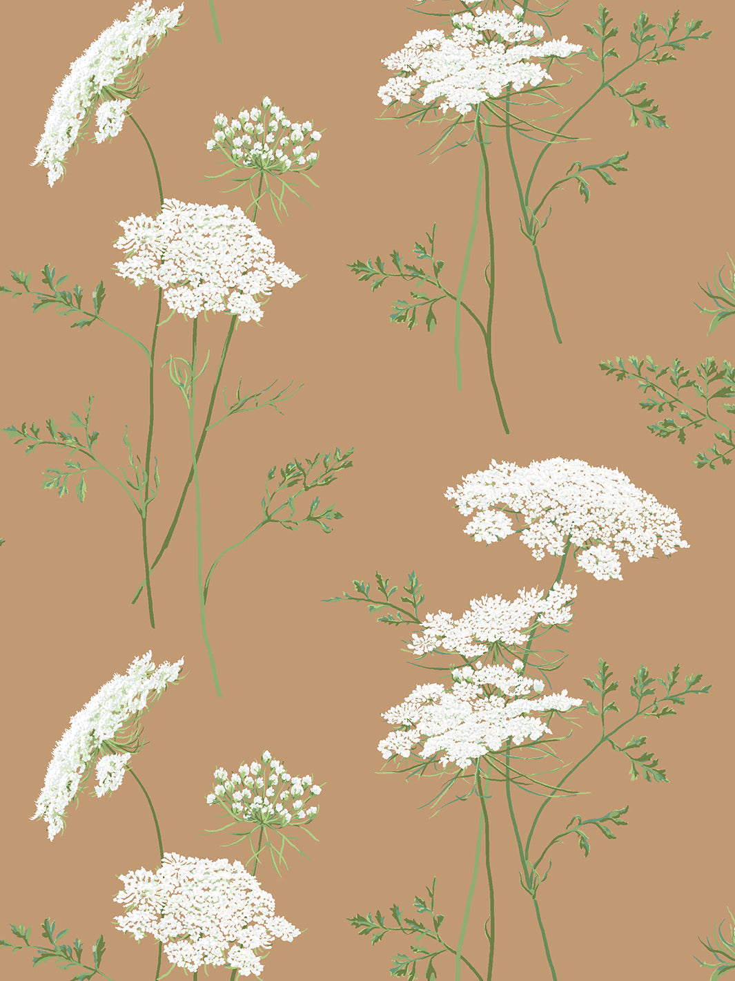 'The Queen's Lace' Wallpaper by Sarah Jessica Parker - Pecan