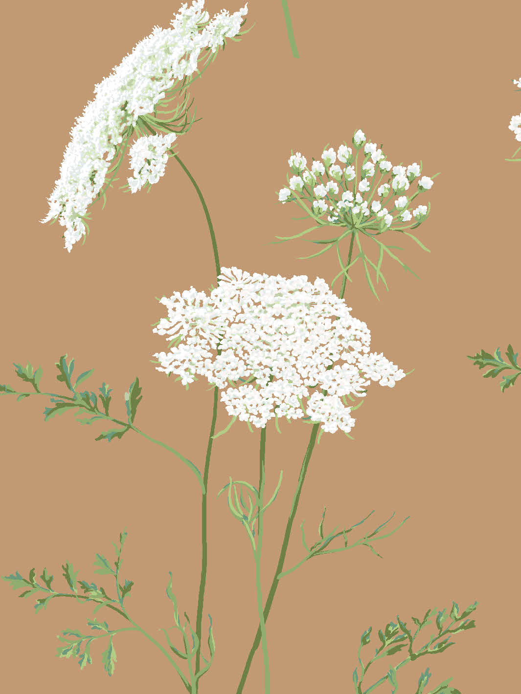 'The Queen's Lace' Wallpaper by Sarah Jessica Parker - Pecan