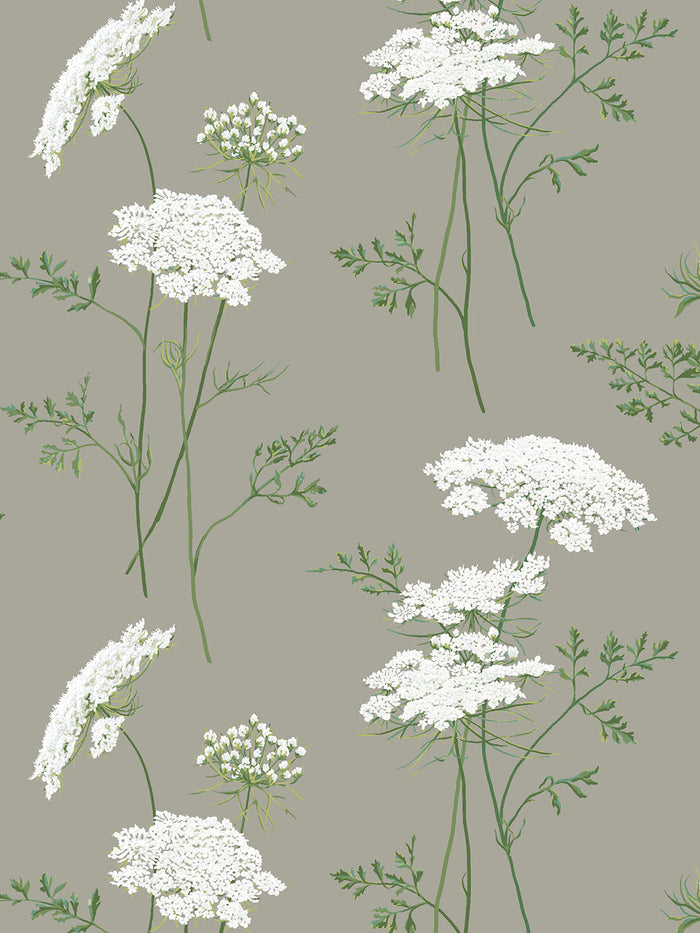 'The Queen's Lace' Wallpaper by Sarah Jessica Parker - Pepper
