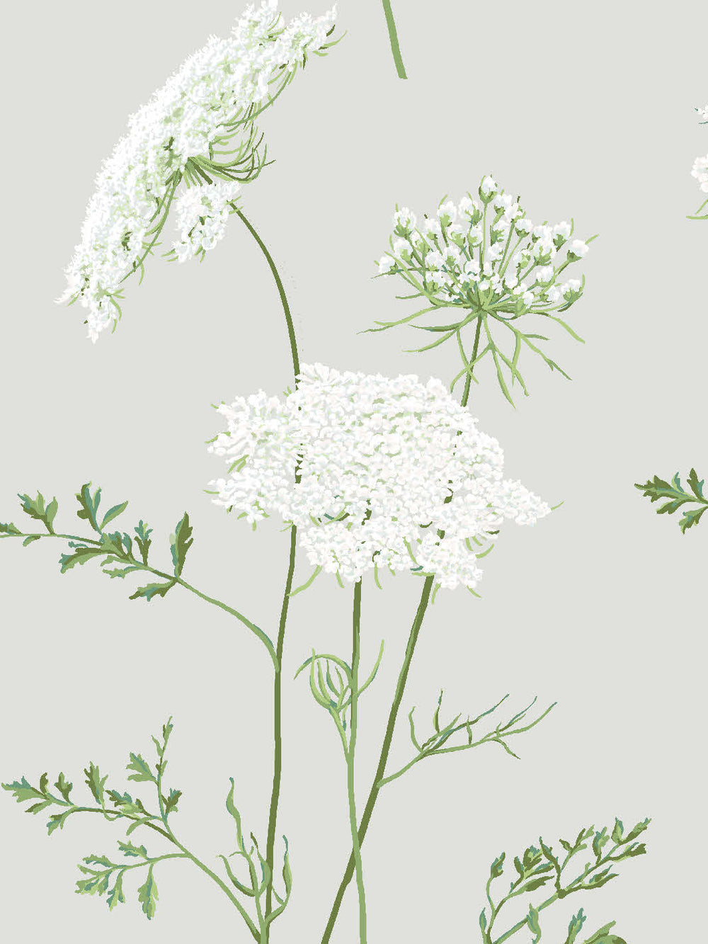 the-queens-lace-wallpaper-by-sarah-jessica-parker-silver