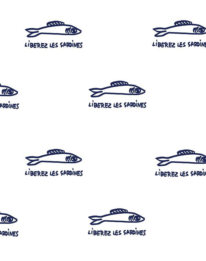 sardines-navy