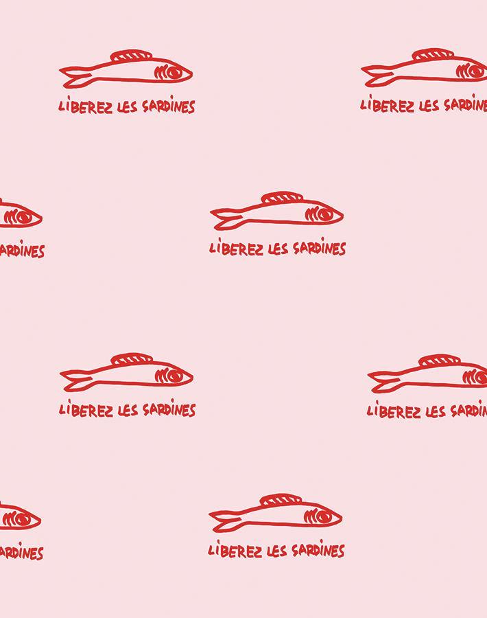 sardines-shell