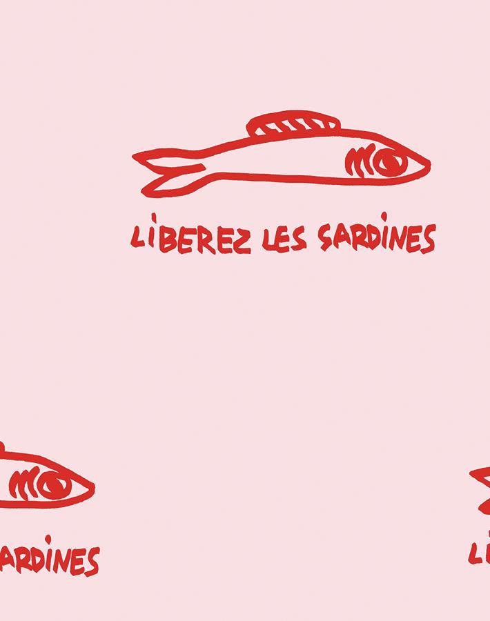 sardines-shell
