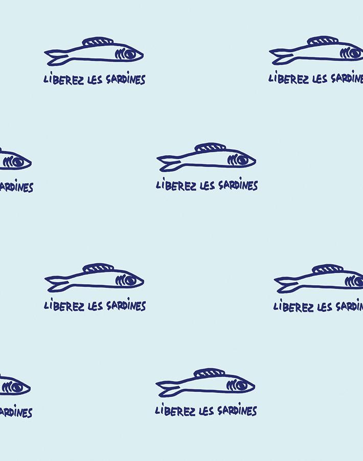 sardines-sky