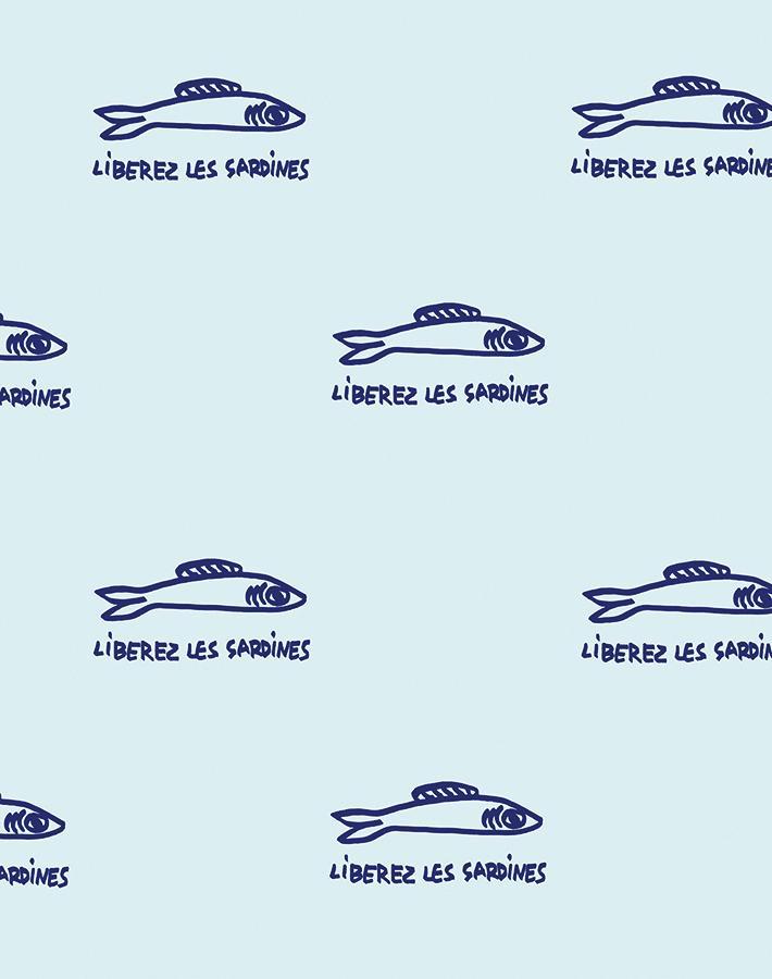 sardines-sky