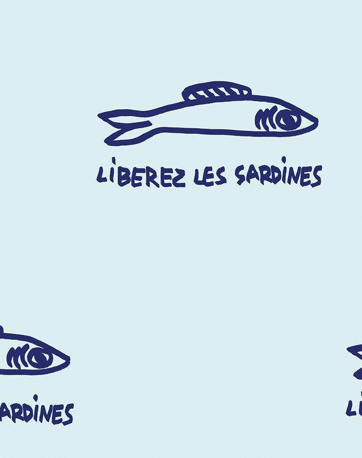 sardines-sky