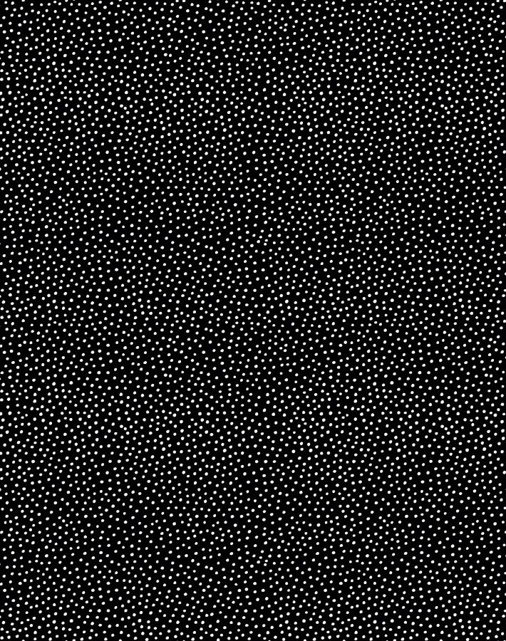 pebble black