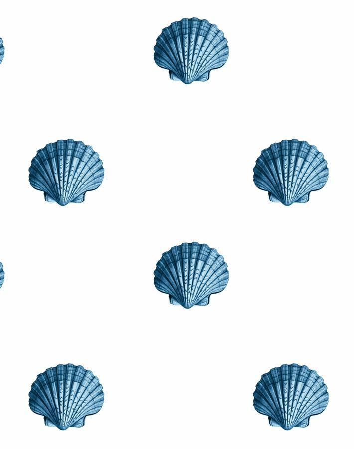 'Seashell' Wallpaper by Wallshoppe - Blue