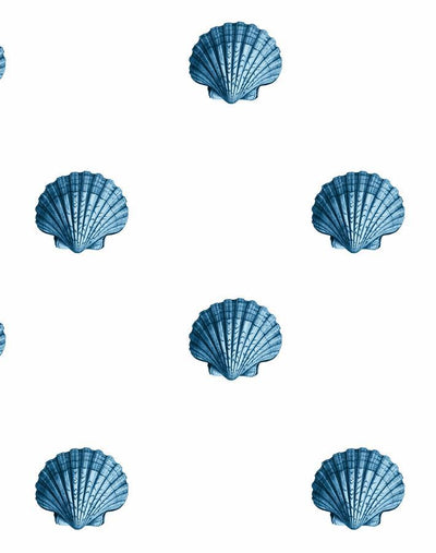 seashell blue