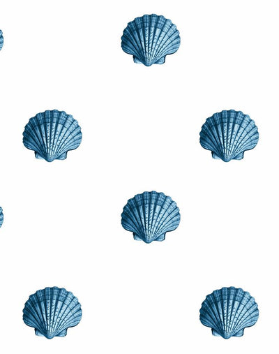 'Seashell' Wallpaper by Wallshoppe - Blue