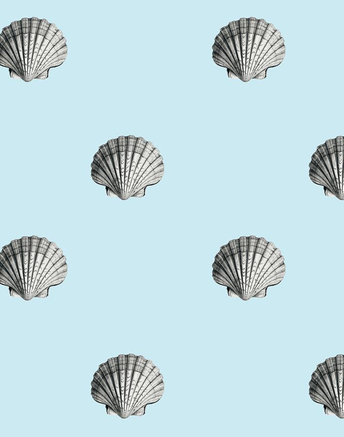 'Seashell' Wallpaper by Wallshoppe - Sky