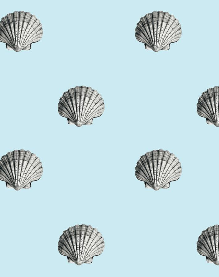 'Seashell' Wallpaper by Wallshoppe - Sky