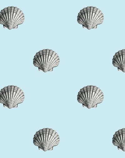 'Seashell' Wallpaper by Wallshoppe - Sky