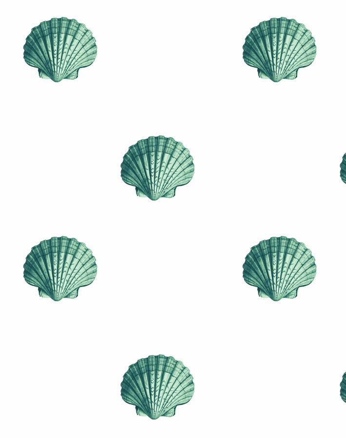 'Seashell' Wallpaper by Wallshoppe - Green