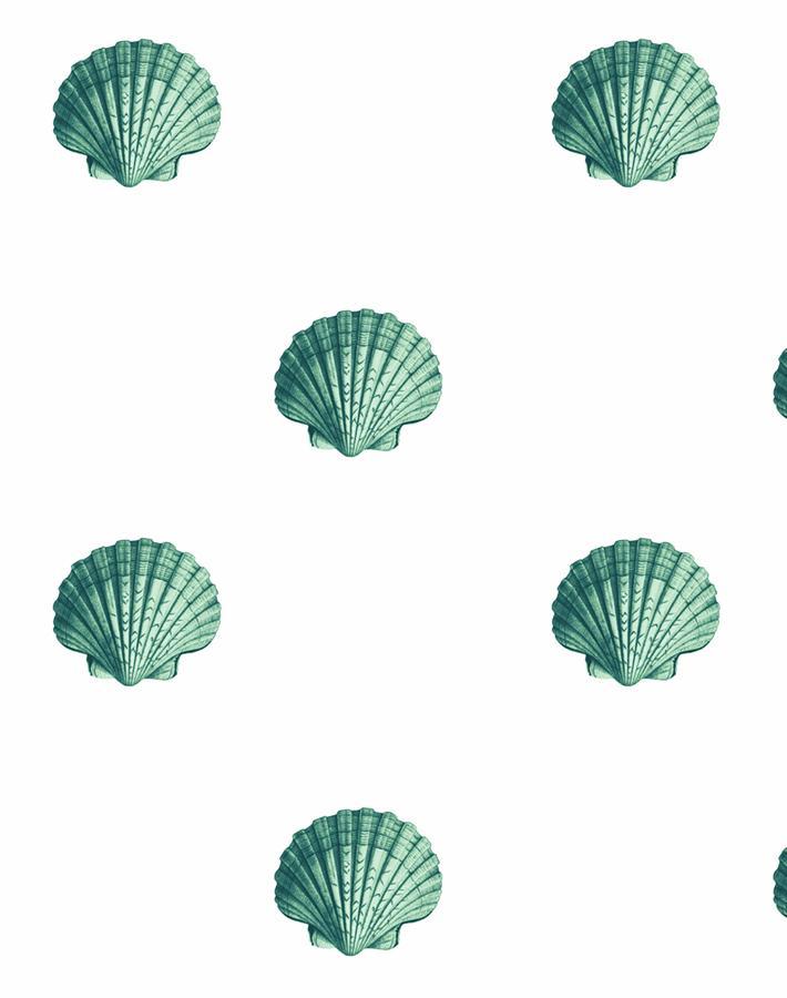 'Seashell' Wallpaper by Wallshoppe - Green