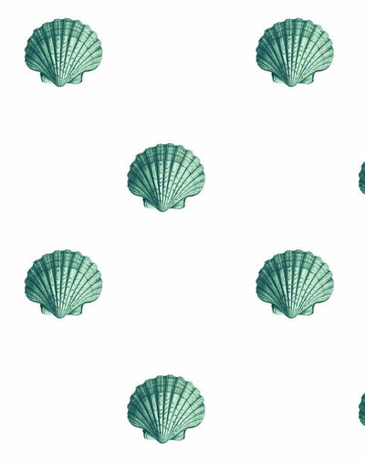 'Seashell' Wallpaper by Wallshoppe - Green