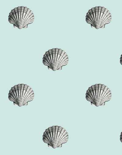 seashell seafoam