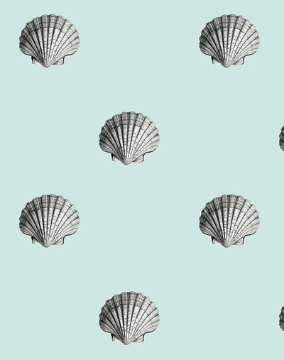 'Seashell' Wallpaper by Wallshoppe - Seafoam