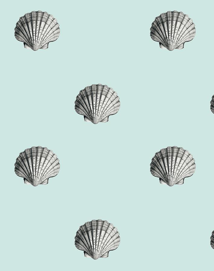 'Seashell' Wallpaper by Wallshoppe - Seafoam