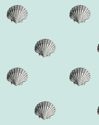 seashell seafoam