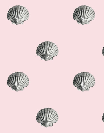'Seashell' Wallpaper by Wallshoppe - Shell