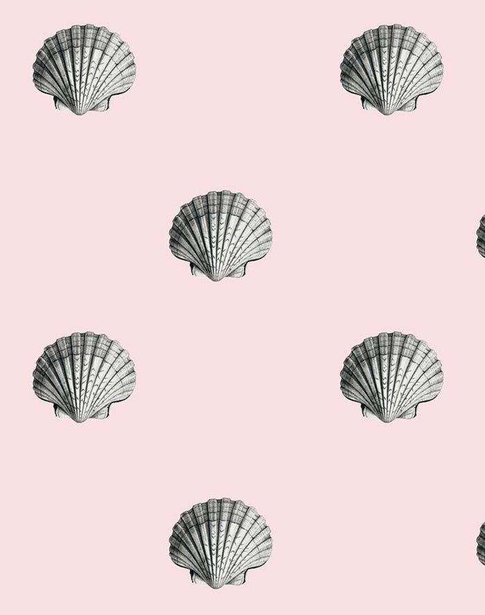 'Seashell' Wallpaper by Wallshoppe - Shell