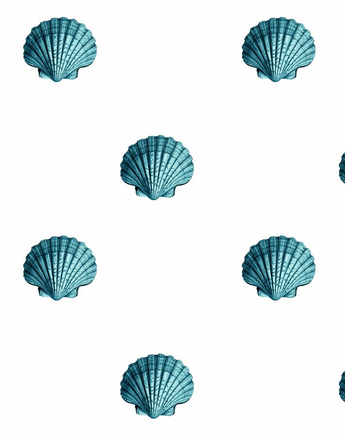 seashell-teal