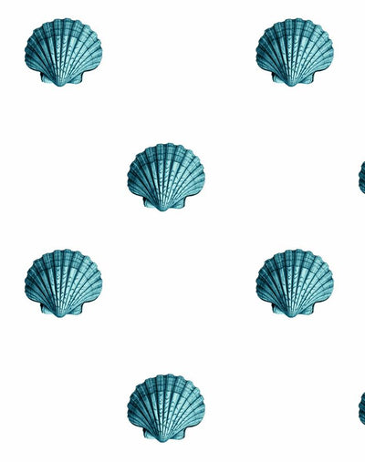 'Seashell' Wallpaper by Wallshoppe - Teal