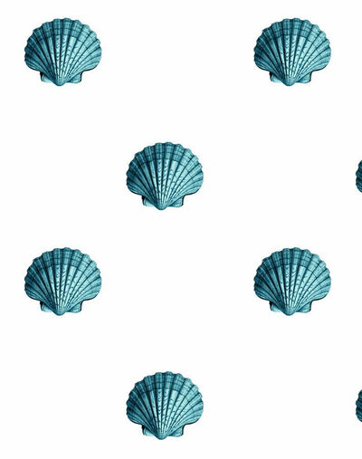 'Seashell' Wallpaper by Wallshoppe - Teal