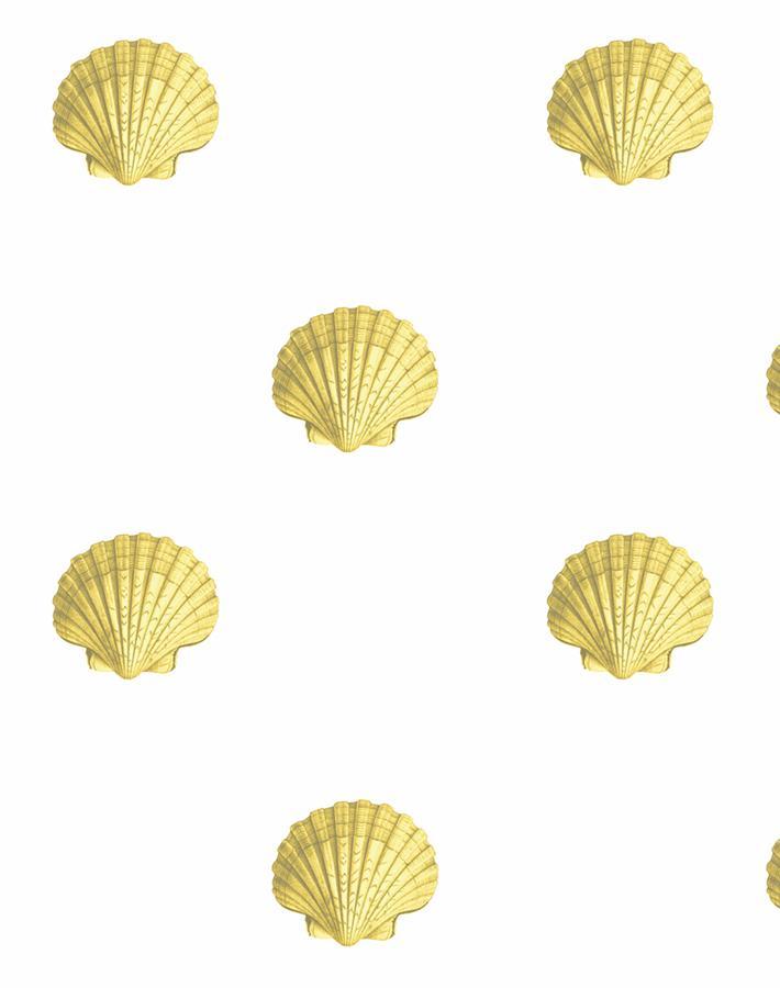 'Seashell' Wallpaper by Wallshoppe - Yellow