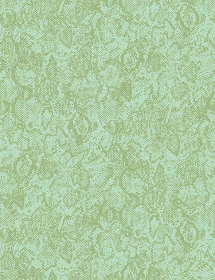 serpentine-moss-adventurine