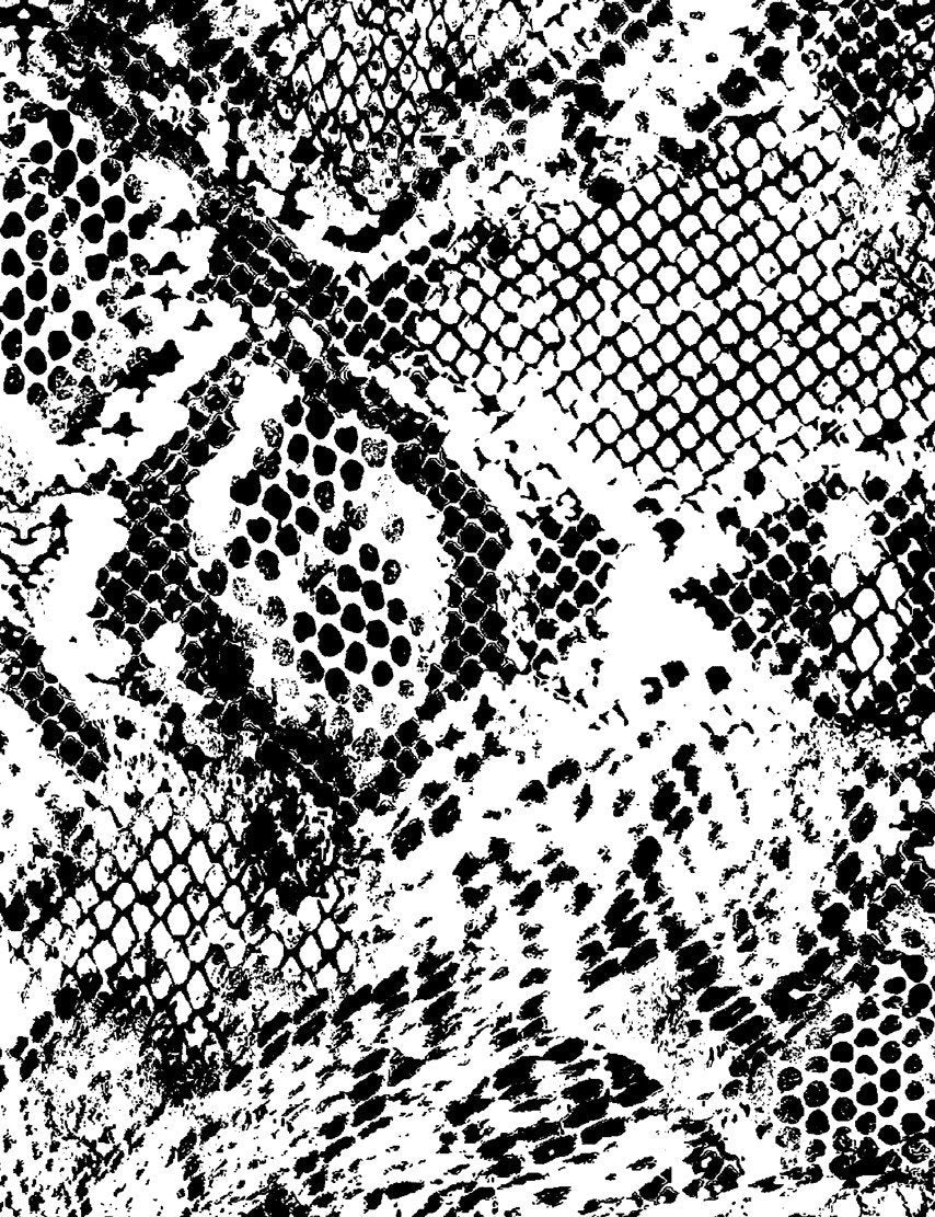 serpentine-onyx-on-white