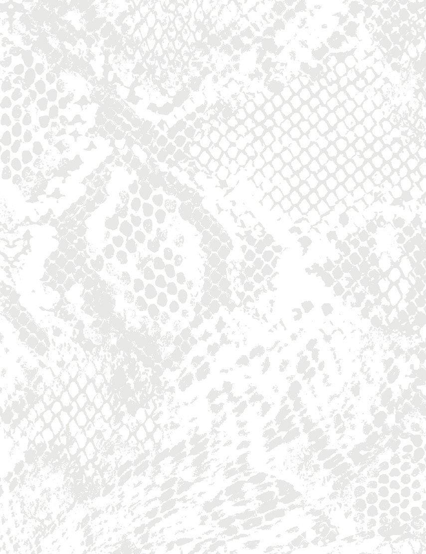 serpentine-stone-on-white