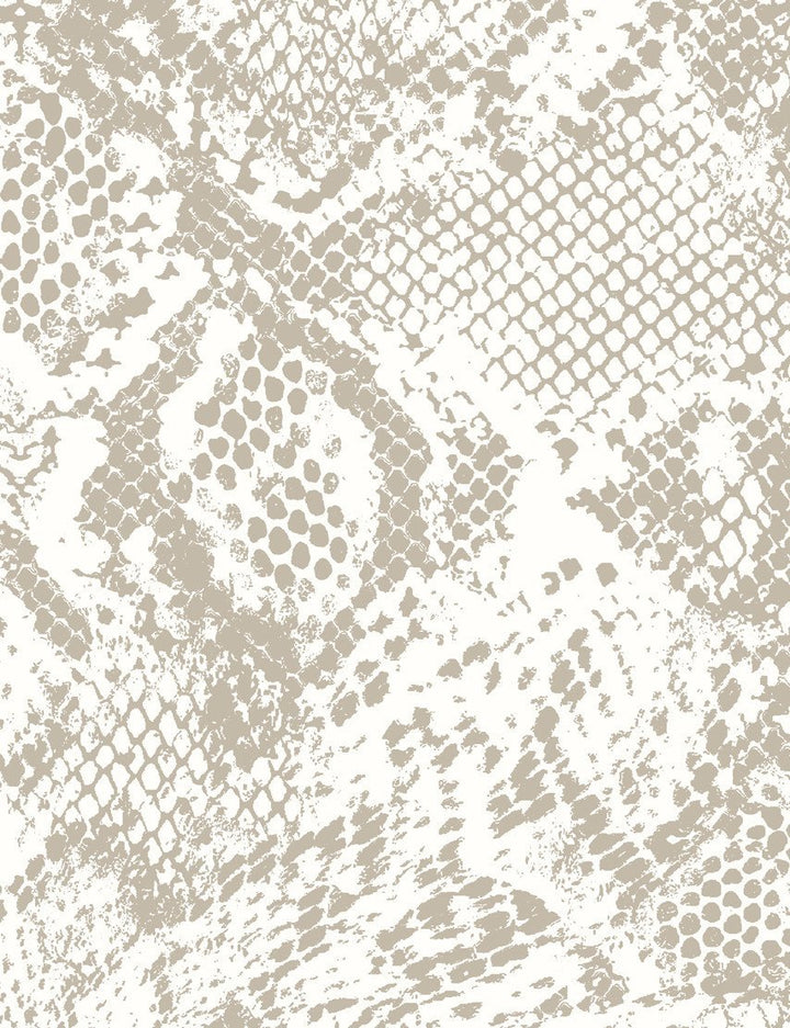 serpentine-chocolate-on-ivory