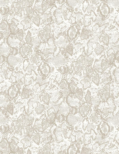 serpentine chocolate on ivory
