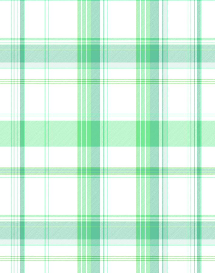 'Sofia Plaid' Wallpaper by Wallshoppe - Green