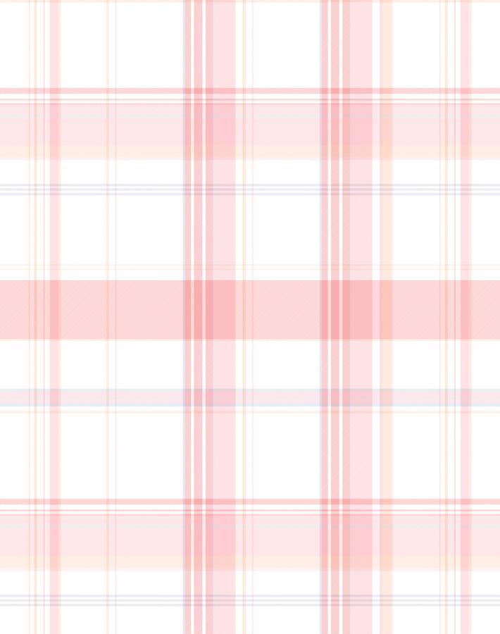 sofia plaid shell